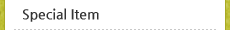 Special item